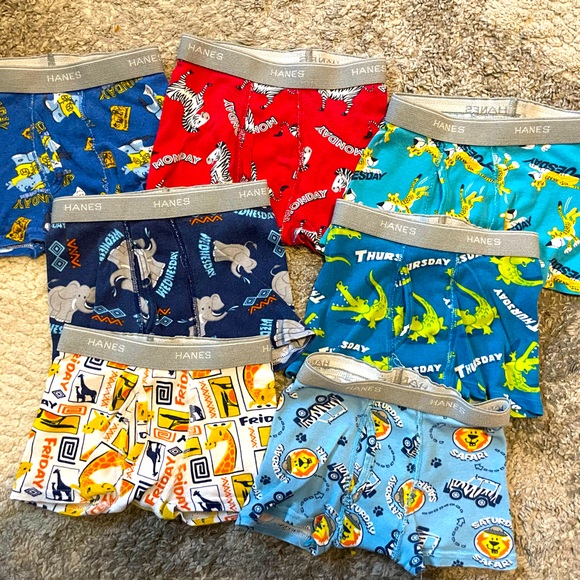 Hanes Other - Hanes Boxer Briefs